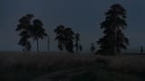 night forest-steppe
