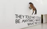 anything-047516