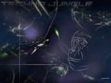 Jungle