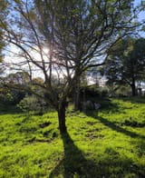 SAVE_20250322_090401~2