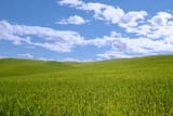 windows-xp