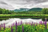Springtime in New Hampshire