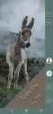 Screen_Recording_20250325_143053_Nova Launcher_thumb.jpg
