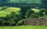 hills_of_troutbeck-13927