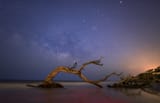 Blue hour on Driftwood Beach