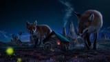 03852_reddemons_6400x3600