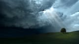 02363_thechosenone_2560x1440