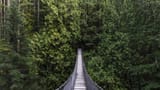 Capilano Suspension Bridge Park in Vancouver, Kanada