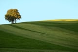Germany_-_Munchen_-_Icking_-_panoramio