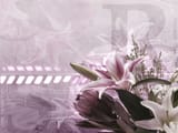 ThePast_by_DJ-Designs
