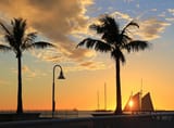 palm_trees_and_boats_in_harbour__sunset_over_key_west__florida__usa