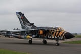 luftwaffe_tornado_in_tigerstripe