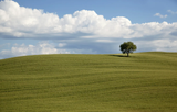 farmland-tree-green-clouds-farm-field-countryside-countrysid
