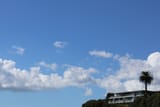 IMG_2915