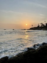 IMG_6136