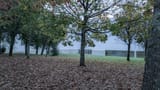 PXL_20241104_073124082
