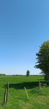 453636