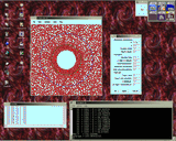 screen_capture