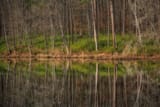 Arabia Mountain