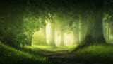 Wooded