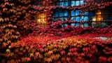 20191214_013507