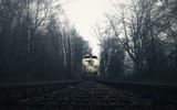 dark-trees-railway-train-vehicle-1235083-wallhere.com