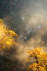 Miyagi Prefecture at autumn, taken by @zookomi0124