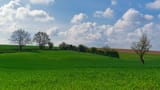 landscape_in_condroz__near_ouffet__huy__belgium