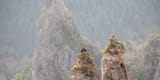 Benoit_COLOMB_-_PACT_GDT_CRTLOccitanie_0037423_MD-1920x960-crop-1708595633