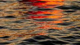 theau-leveque-ZB8tCyCGu64-unsplash