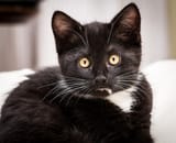 wide_eyed