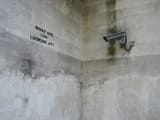 wallhaven-mpvqdk