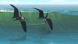 Paleoart 27