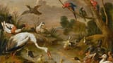 Adriaen_van_Utrecht_-_Birds,_including_ducks,_parrots_and_a_heron,_in_an_extensive_landscape