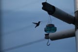 IMG_6020
