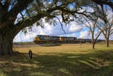CSX Q651 passes through rural Southwest Georgia