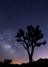 08intransitphoto-joshua-superJumbo
