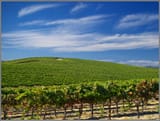 windows xp bliss wallpaper location