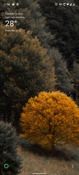 1000782936
