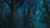Ghibli Dark Forest