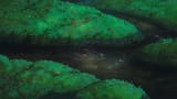 Mononoke Stream