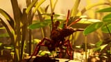 Grounded 2 - Official Announce Trailer - YouTube - 0-1-36