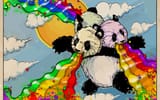 koala pukes rainbows