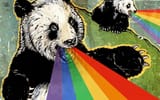 koalaspukingrainbows