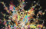 psychedelicexplosion
