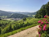 IMG_20250611_124228128_HDR