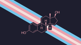 estrogen