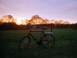 KodakGold200 (5)