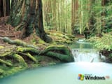 windows_xp_180