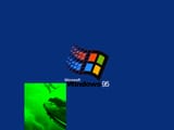 95